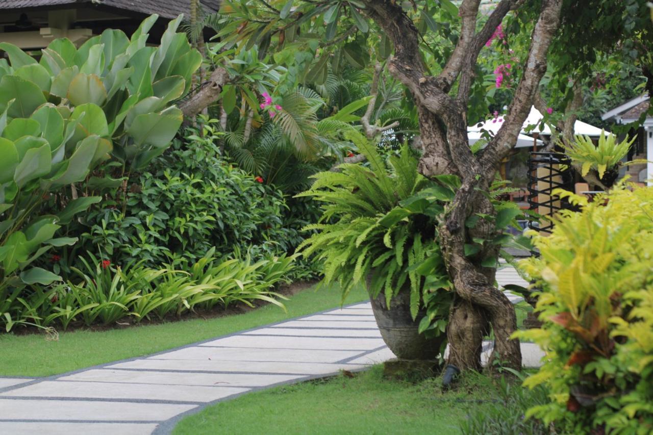 Sagara Villas And Suites Sanur By Ahm Buitenkant foto A garden in Bali