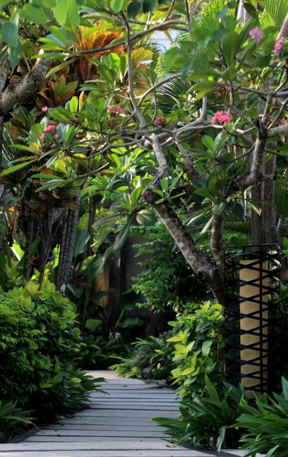 Sagara Villas And Suites Sanur By Ahm Buitenkant foto Ficus elastica